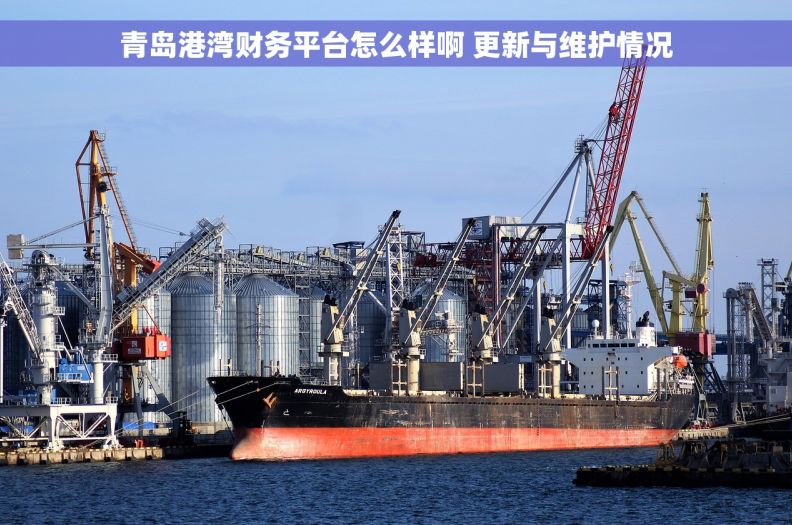 青岛港湾财务平台怎么样啊 更新与维护情况 青岛港湾财务平台怎么样啊 更新与维护情况