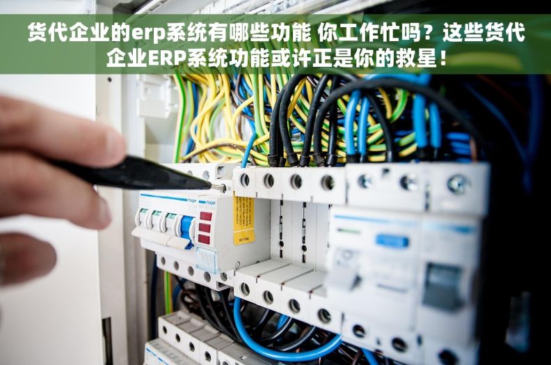 货代企业的erp系统有哪些功能 你工作忙吗?这些货代企业ERP系统功能或许正是你的救星! 货代企业的erp系统有哪些功能 你工作忙吗?这些货代企业ERP系统功能或许正是你的救星!