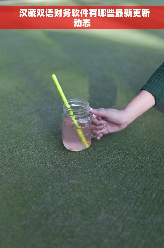   汉藏双语财务软件有哪些最新更新动态