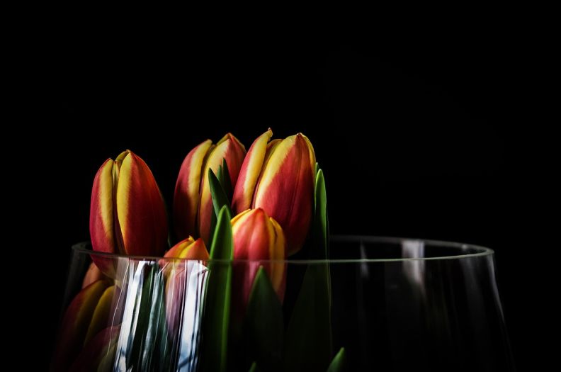   汉藏双语财务软件有哪些最新更新动态