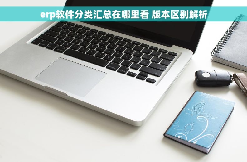erp软件分类汇总在哪里看 版本区别解析
