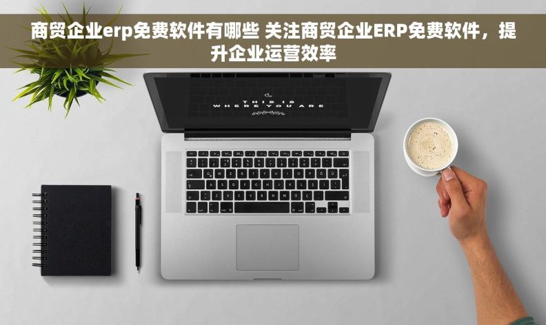 商贸企业erp免费软件有哪些 关注商贸企业ERP免费软件，提升企业运营效率