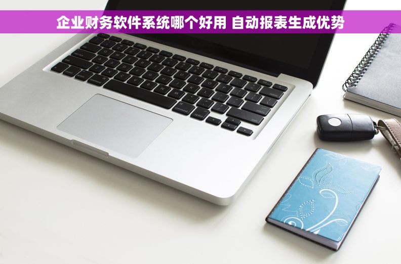 企业财务软件系统哪个好用 自动报表生成优势