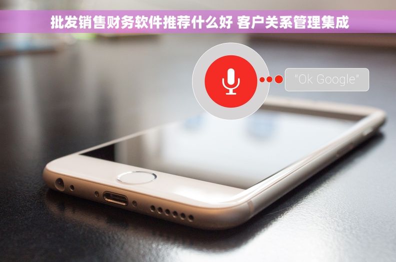  批发销售财务软件推荐什么好 客户关系管理集成