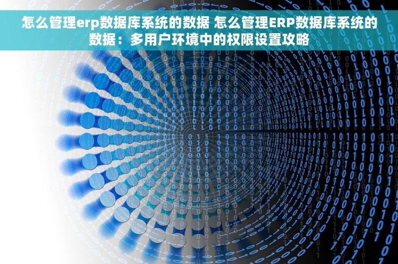 怎么管理erp数据库系统的数据 怎么管理ERP数据库系统的数据：多用户环境中的权限设置攻略