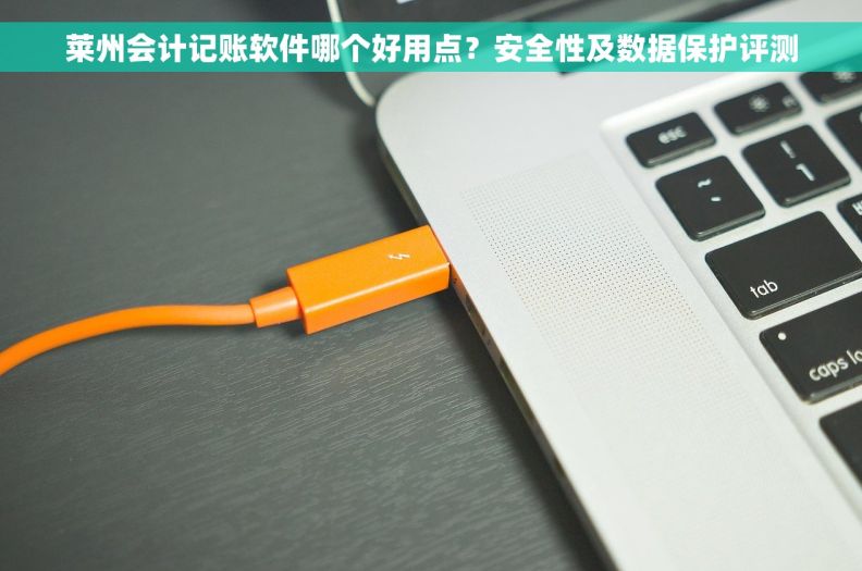 莱州会计记账软件哪个好用点?安全性及数据保护评测 莱州会计记账软件哪个好用点?安全性及数据保护评测