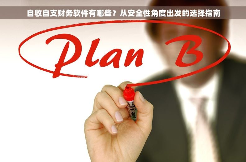 自收自支财务软件有哪些？从安全性角度出发的选择指南