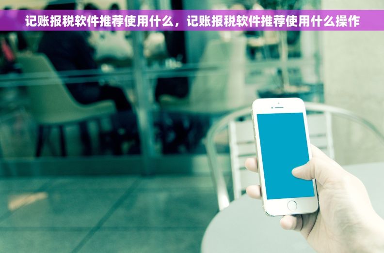 记账报税软件推荐使用什么，记账报税软件推荐使用什么操作