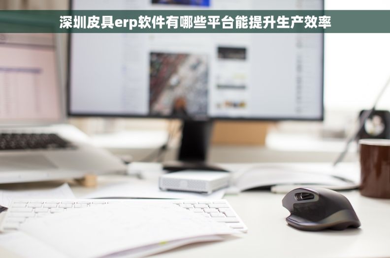 深圳皮具erp软件有哪些平台能提升生产效率