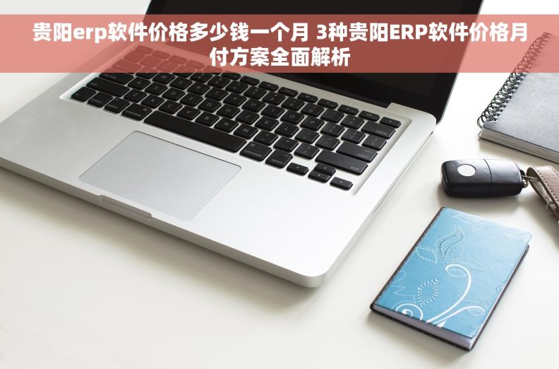 贵阳erp软件价格多少钱一个月 3种贵阳ERP软件价格月付方案全面解析