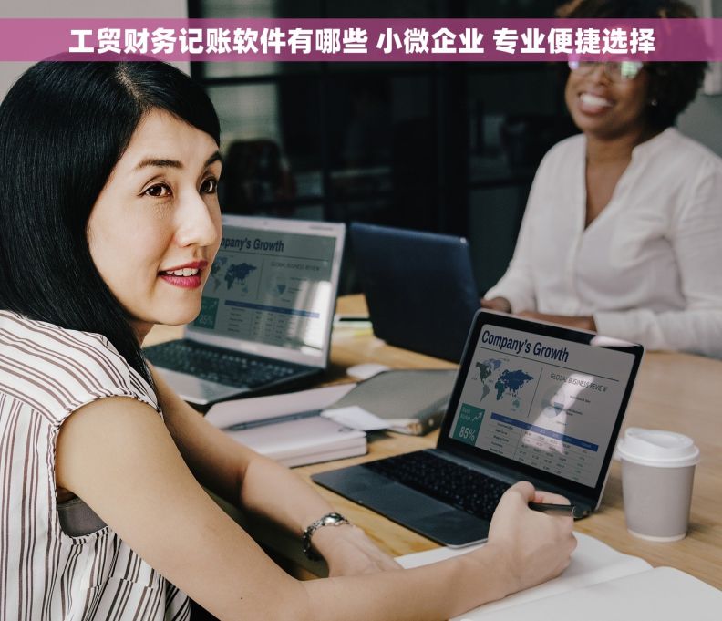 工贸财务记账软件有哪些 小微企业 专业便捷选择