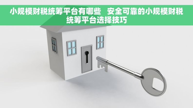 小规模财税统筹平台有哪些   安全可靠的小规模财税统筹平台选择技巧