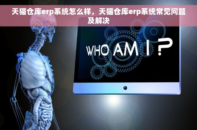天猫仓库erp系统怎么样，天猫仓库erp系统常见问题及解决