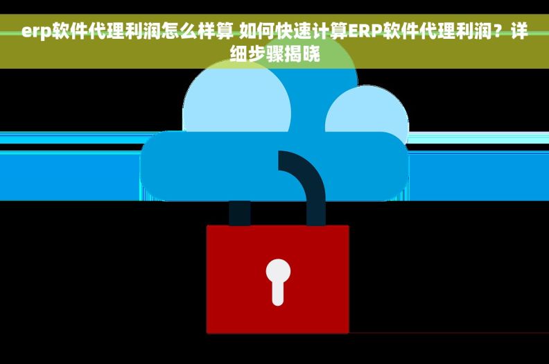 erp软件代理利润怎么样算 如何快速计算ERP软件代理利润？详细步骤揭晓