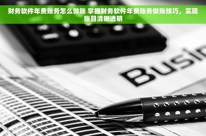 财务软件年费账务怎么做账 掌握财务软件年费账务做账技巧，实现账目清晰透明