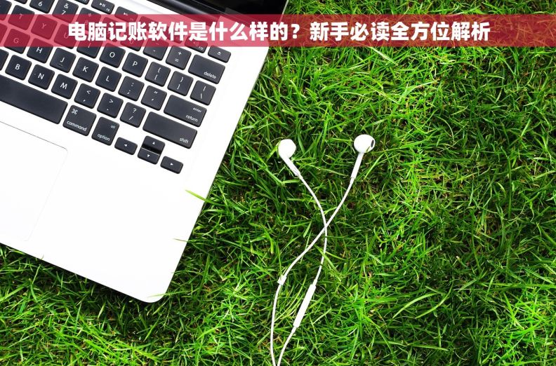 电脑记账软件是什么样的？新手必读全方位解析