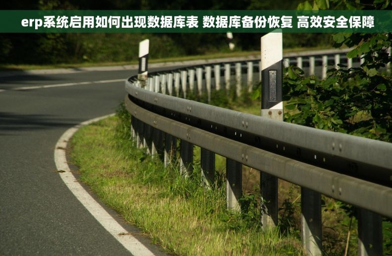  erp系统启用如何出现数据库表 数据库备份恢复 高效安全保障