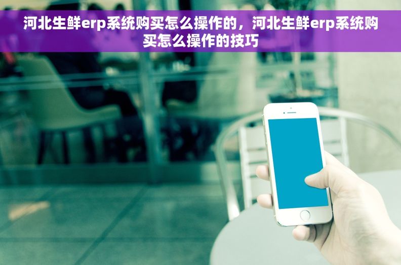 河北生鲜erp系统购买怎么操作的，河北生鲜erp系统购买怎么操作的技巧