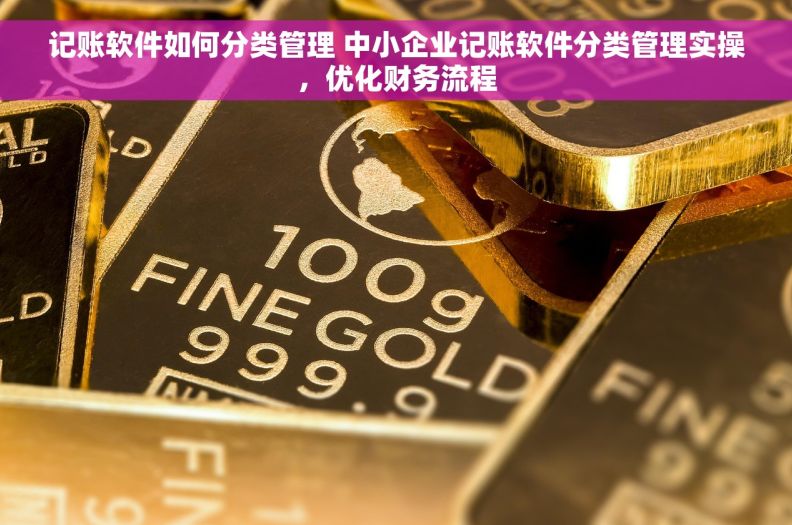 记账软件如何分类管理 中小企业记账软件分类管理实操，优化财务流程