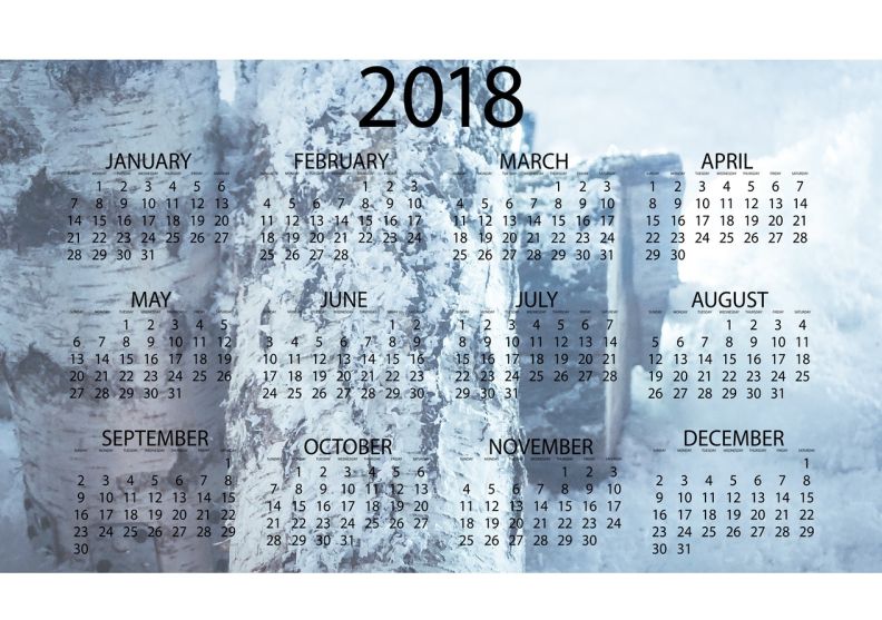 个体工商户用什么财务软件记账比较好用 2024最新个体工商户财务软件推荐，解决记账难题