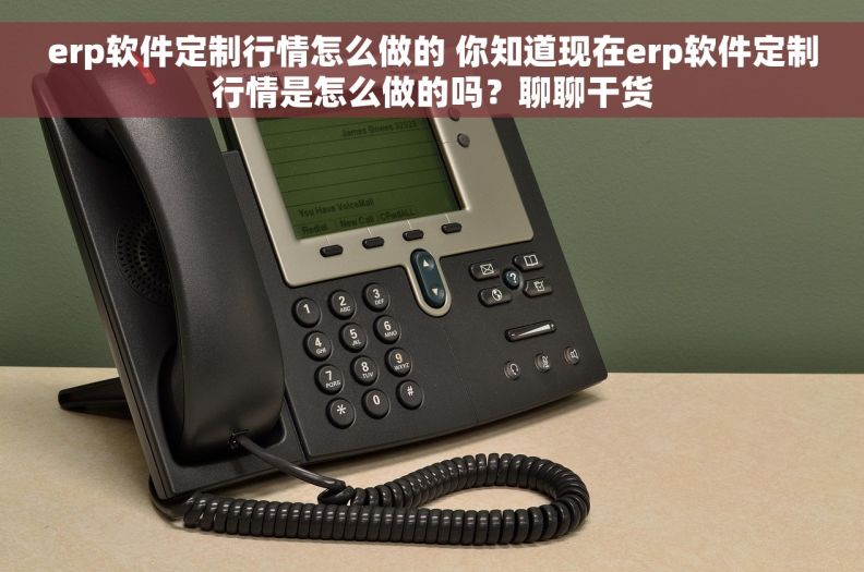 erp软件定制行情怎么做的 你知道现在erp软件定制行情是怎么做的吗？聊聊干货