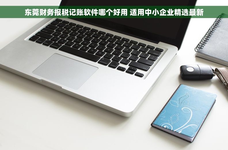 东莞财务报税记账软件哪个好用 适用中小企业精选最新