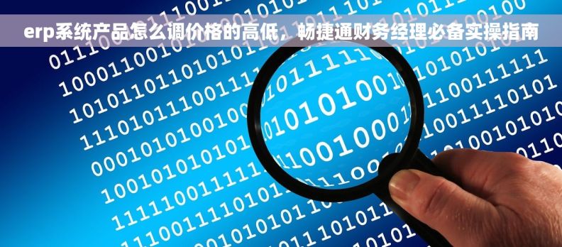 erp系统产品怎么调价格的高低，畅捷通财务经理必备实操指南
