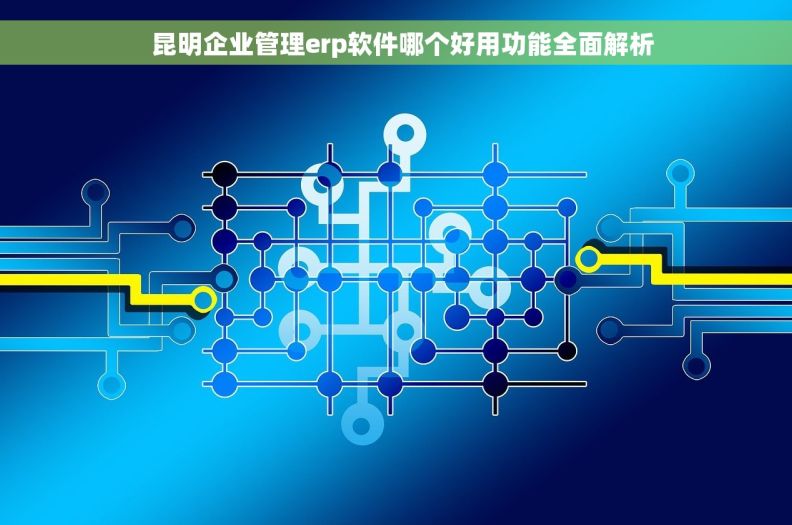   昆明企业管理erp软件哪个好用功能全面解析