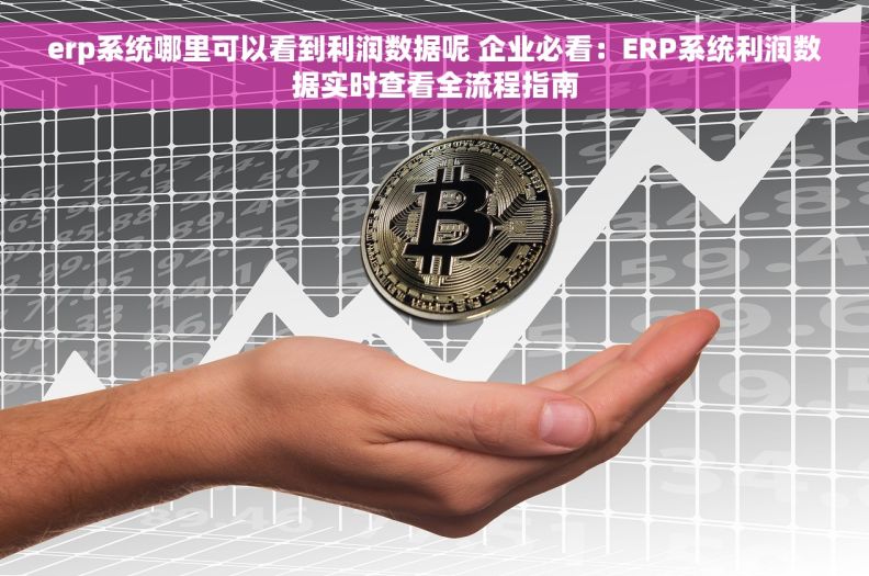 erp系统哪里可以看到利润数据呢 企业必看：ERP系统利润数据实时查看全流程指南