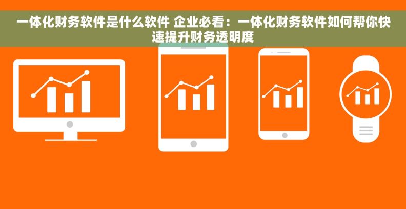 一体化财务软件是什么软件 企业必看：一体化财务软件如何帮你快速提升财务透明度