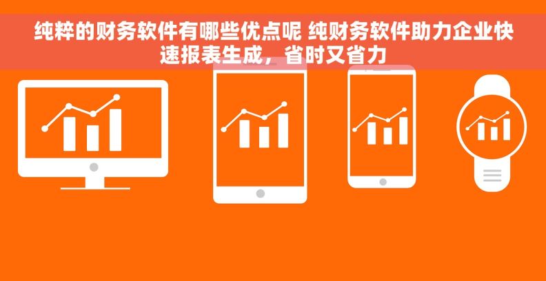 纯粹的财务软件有哪些优点呢 纯财务软件助力企业快速报表生成，省时又省力