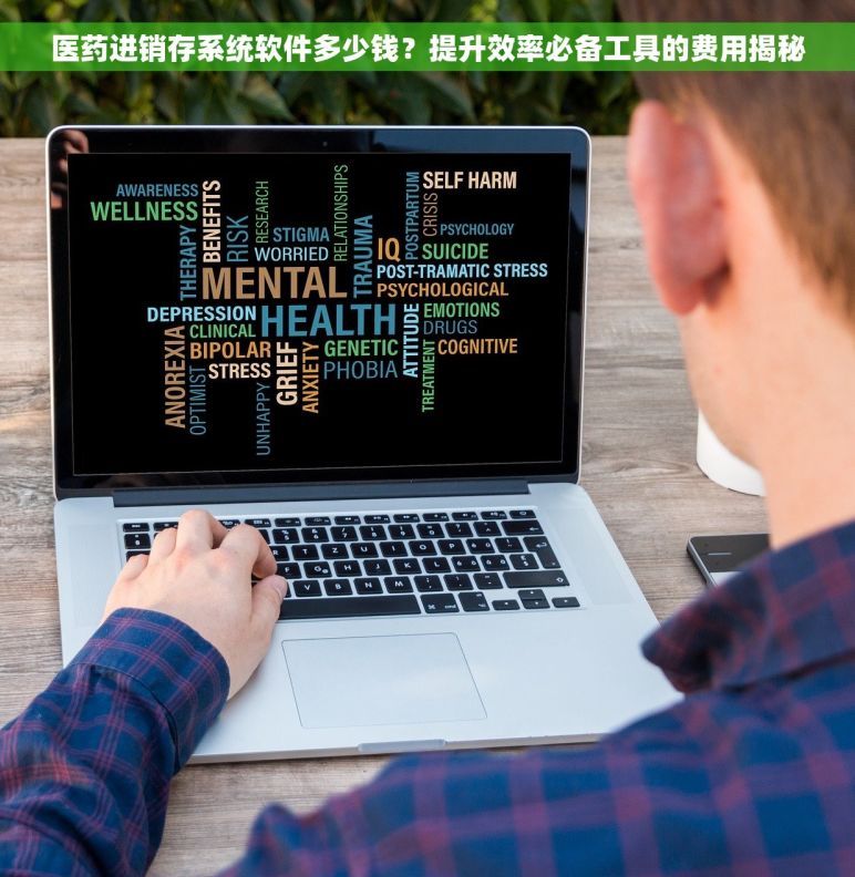 医药进销存系统软件多少钱？提升效率必备工具的费用揭秘