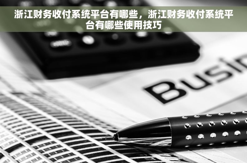 浙江财务收付系统平台有哪些，浙江财务收付系统平台有哪些使用技巧