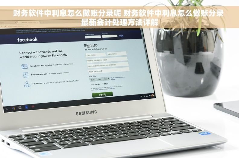 财务软件中利息怎么做账分录呢 财务软件中利息怎么做账分录 最新会计处理方法详解