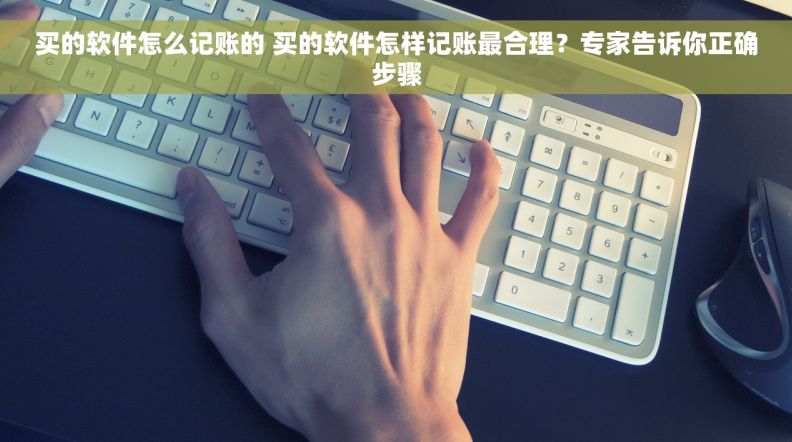 买的软件怎么记账的 买的软件怎样记账最合理？专家告诉你正确步骤