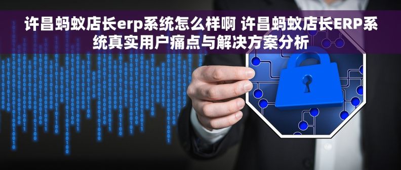 许昌蚂蚁店长erp系统怎么样啊 许昌蚂蚁店长ERP系统真实用户痛点与解决方案分析