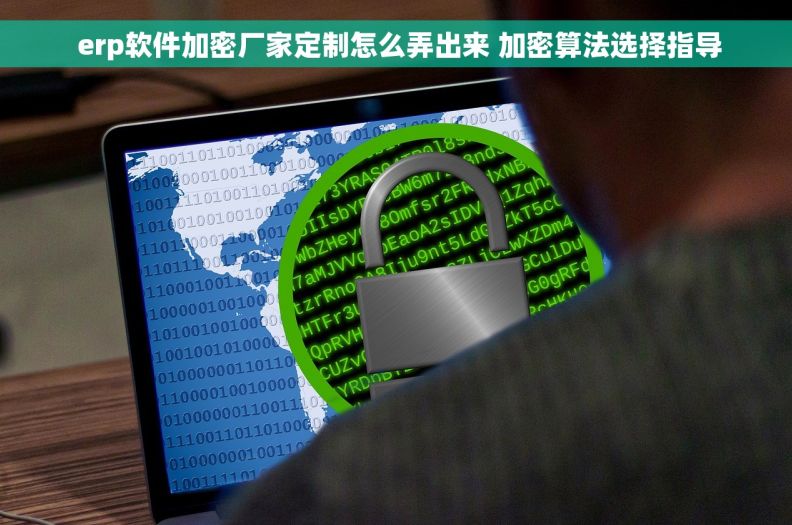  erp软件加密厂家定制怎么弄出来 加密算法选择指导