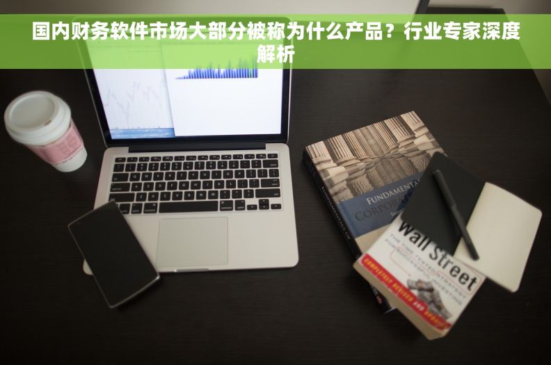 国内财务软件市场大部分被称为什么产品？行业专家深度解析