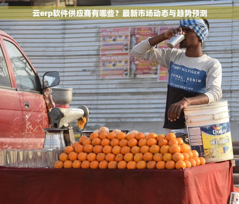 云erp软件供应商有哪些？最新市场动态与趋势预测