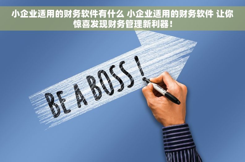小企业适用的财务软件有什么 小企业适用的财务软件 让你惊喜发现财务管理新利器！