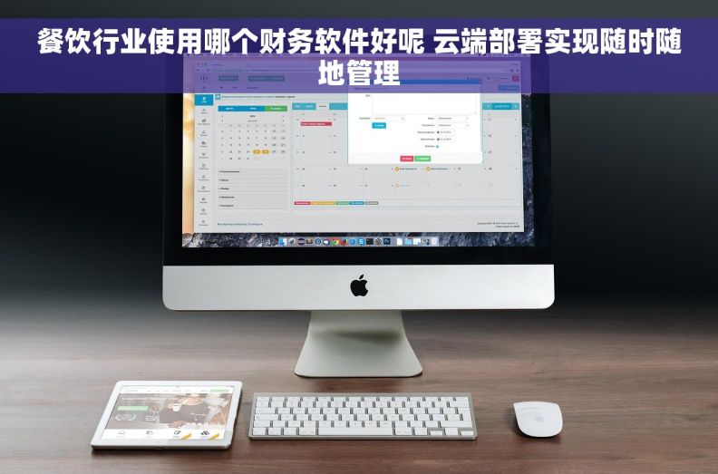 餐饮行业使用哪个财务软件好呢 云端部署实现随时随地管理