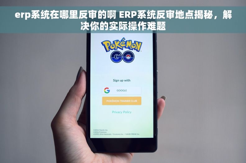 erp系统在哪里反审的啊 ERP系统反审地点揭秘，解决你的实际操作难题