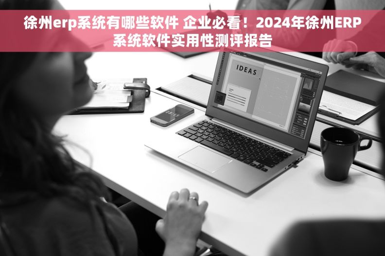 徐州erp系统有哪些软件 企业必看！2024年徐州ERP系统软件实用性测评报告
