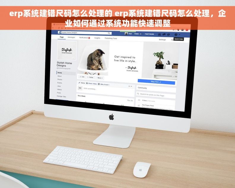 erp系统建错尺码怎么处理的 erp系统建错尺码怎么处理，企业如何通过系统功能快速调整