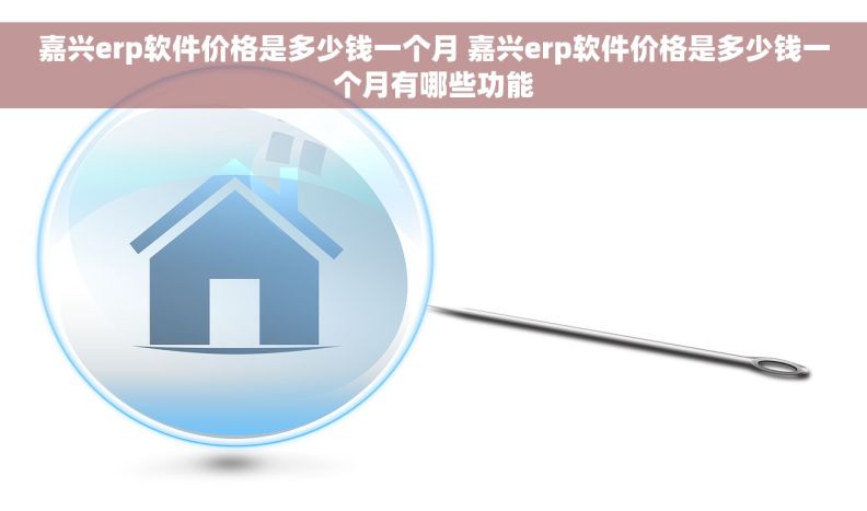 嘉兴erp软件价格是多少钱一个月 嘉兴erp软件价格是多少钱一个月有哪些功能