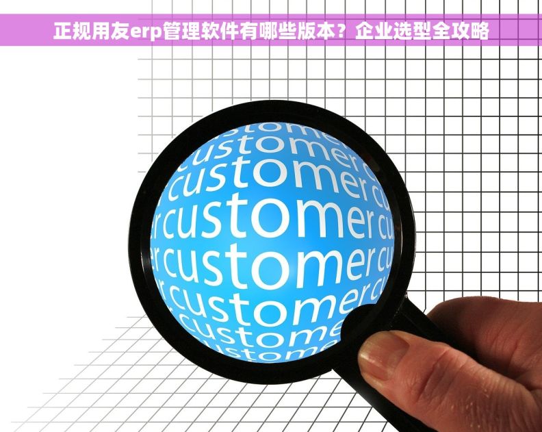 正规用友erp管理软件有哪些版本？企业选型全攻略