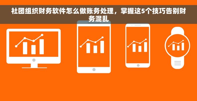 社团组织财务软件怎么做账务处理，掌握这5个技巧告别财务混乱