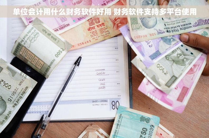单位会计用什么财务软件好用 财务软件支持多平台使用