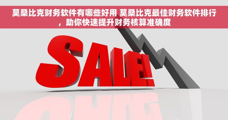 莫桑比克财务软件有哪些好用 莫桑比克最佳财务软件排行，助你快速提升财务核算准确度