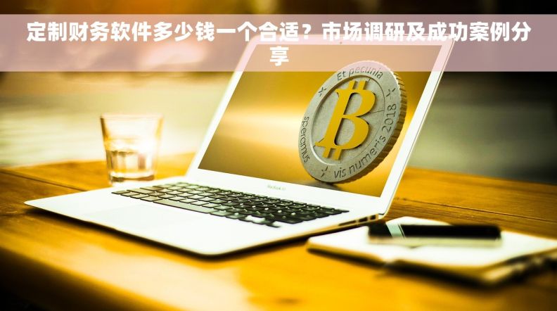 定制财务软件多少钱一个合适？市场调研及成功案例分享